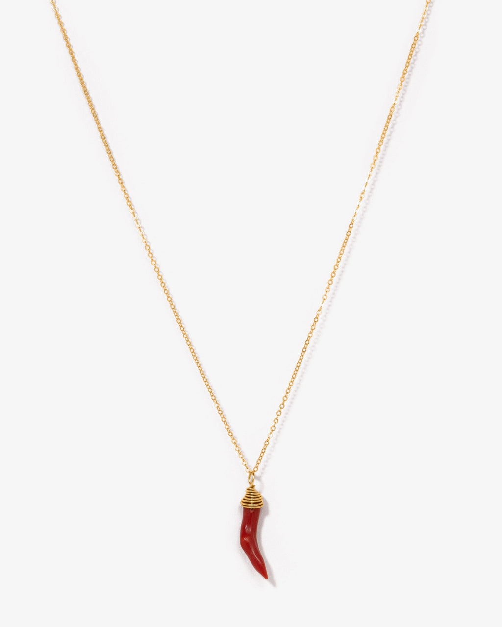 Little Horn Necklace