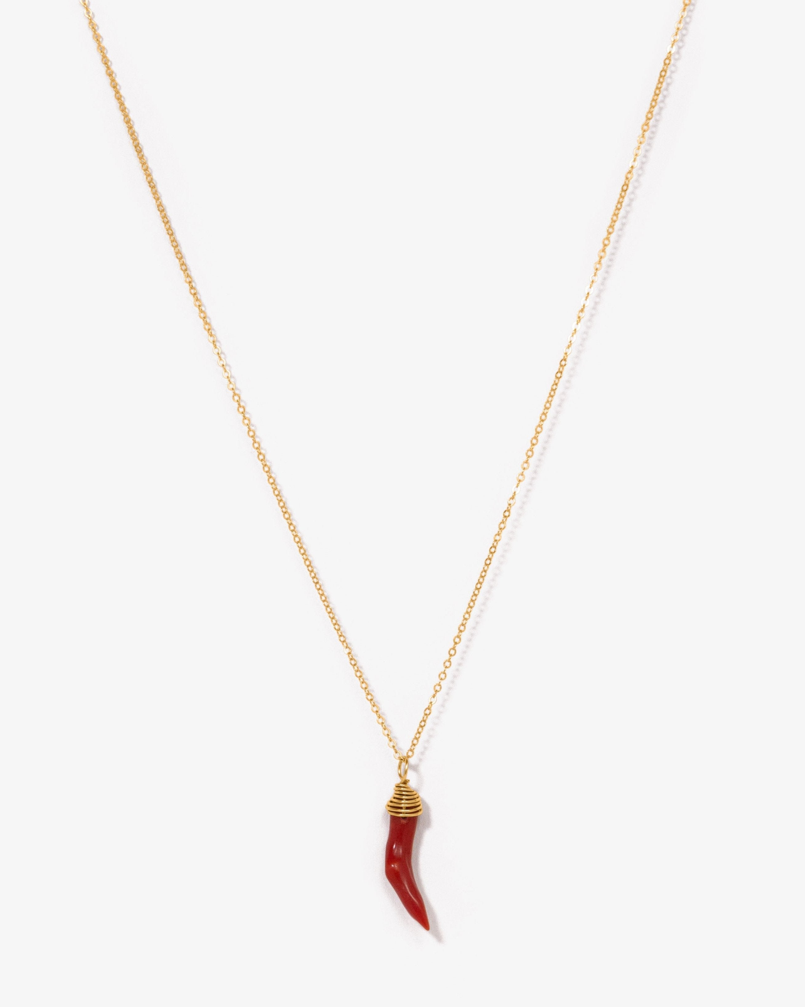 Little Horn Necklace